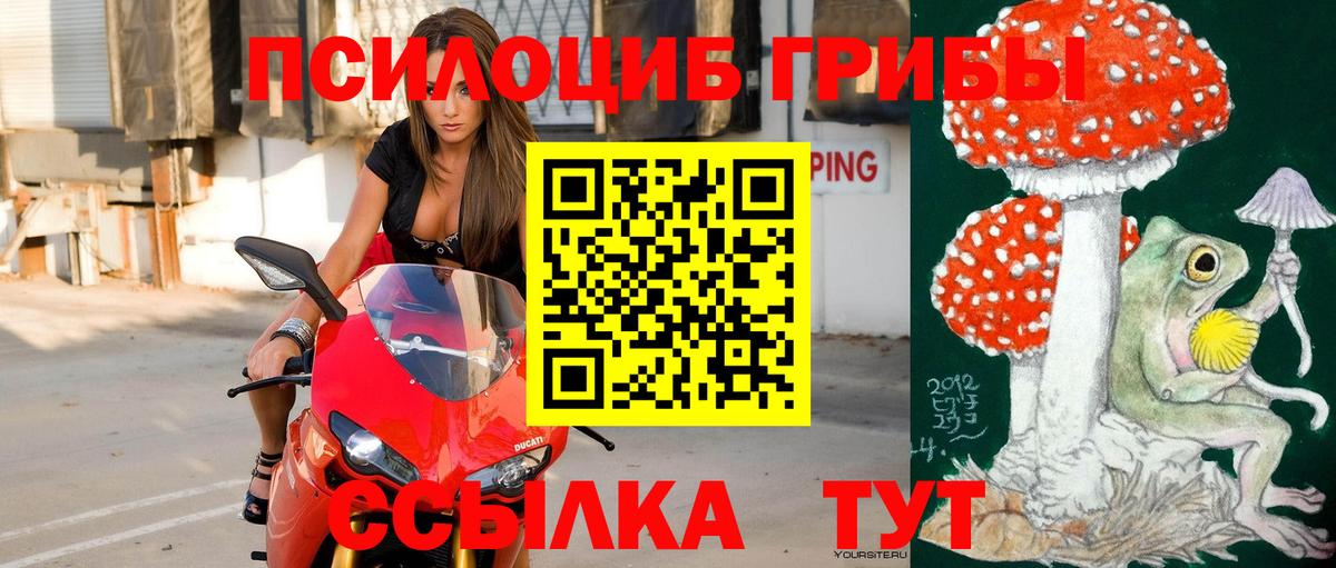 Великий Устюг  где продают наркотики  Вход с VPN  Галлюциногенные грибы GOLDEN TEACHER 
